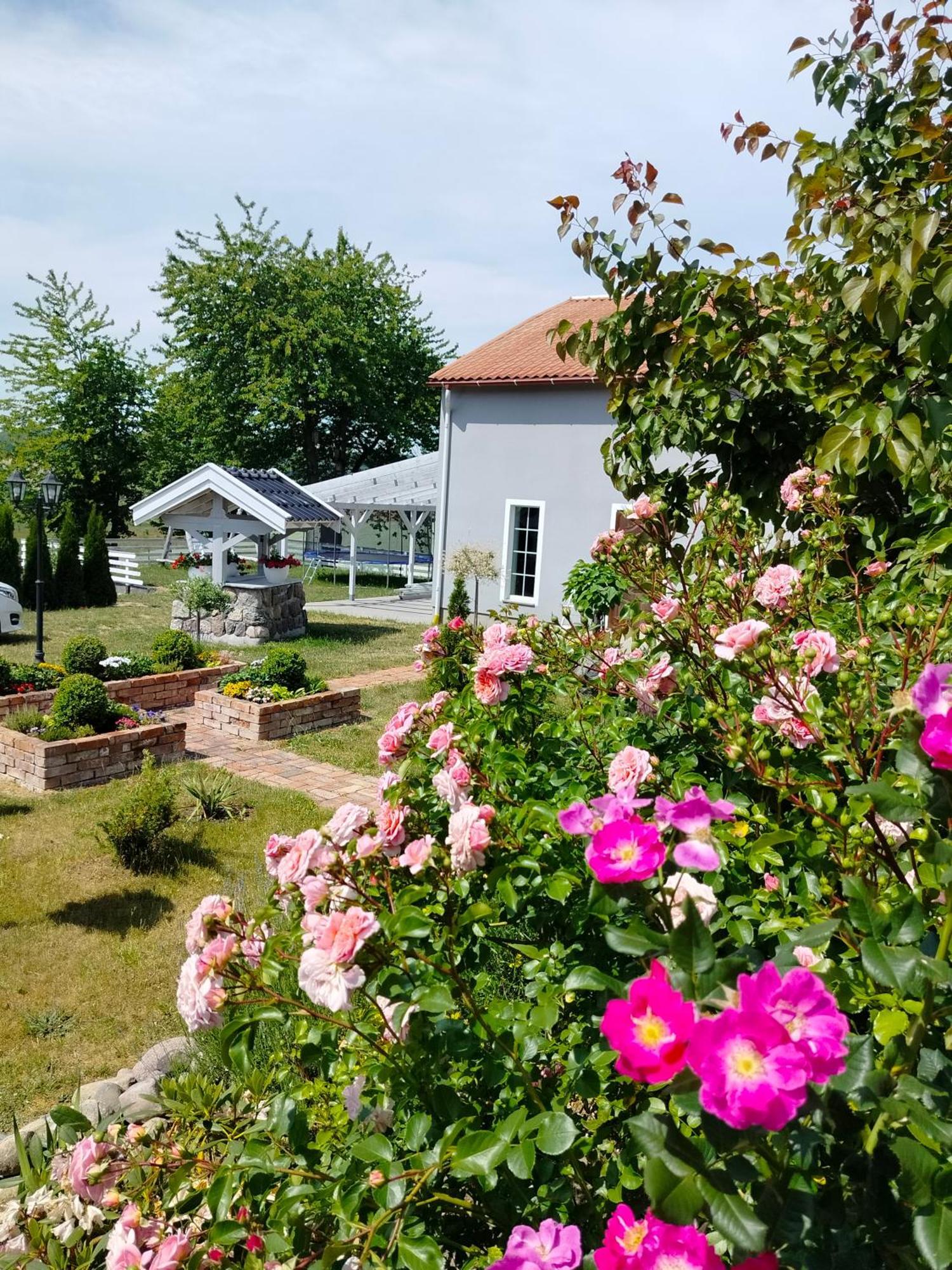 Agroturystyka Rybno Rybno  Exterior photo